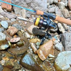 鱒レンジャーを持ってイワナの谷へ